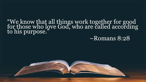 romans 8 message translation