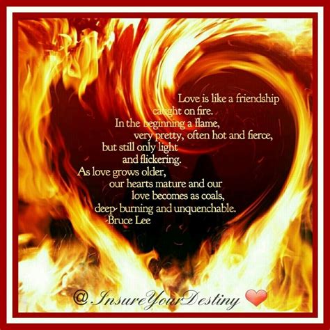 The Fire Of Marriage Quote Romance Me Blog