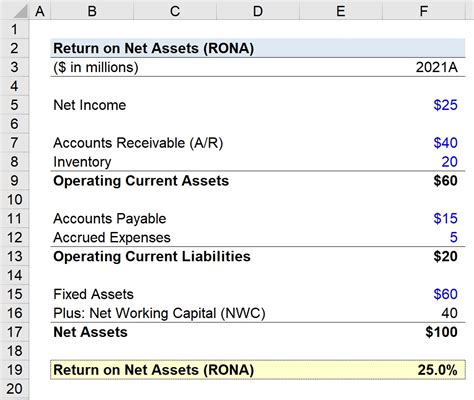 rona net worth 2023 analysis