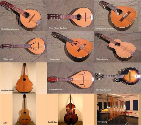 Rondalla Is An Example Of What Classification Of Instruments