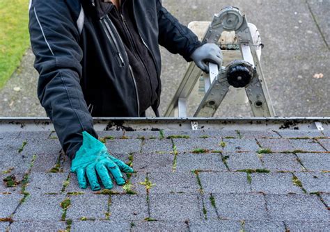 Roof Cleaning Services in Citrus Heights CA