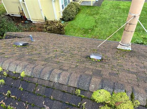 roof cleaning bellevue