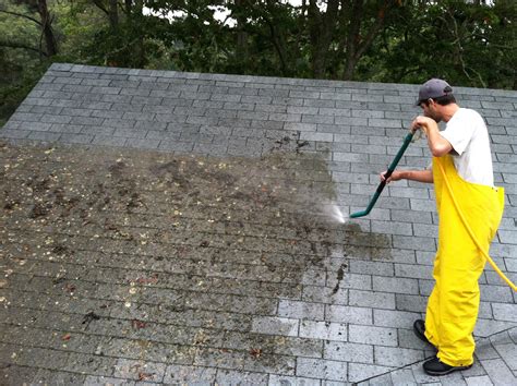 roof cleaning in my house
