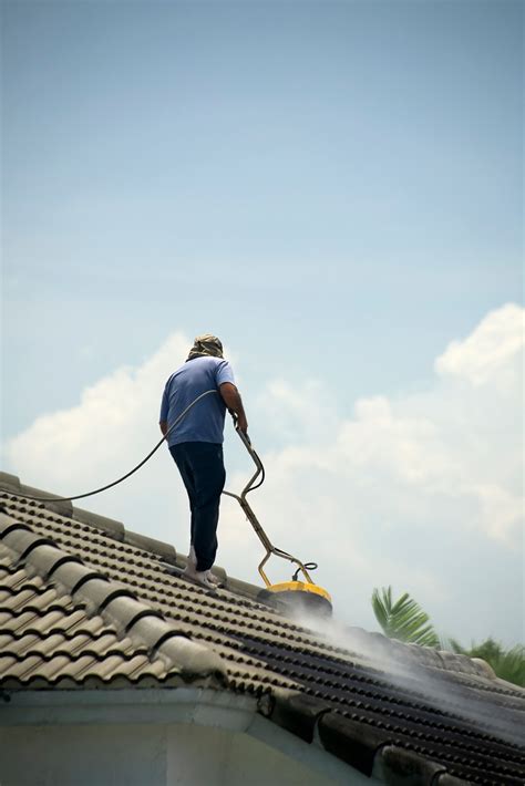 yourlifesketch.shop:roof cleaning industry