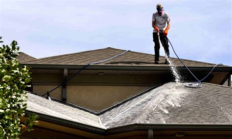 roof cleaning industry