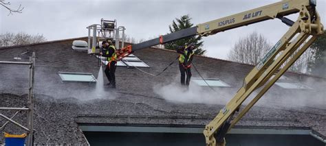 Roof Cleaning Job