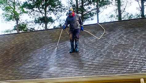 roof cleaning service process