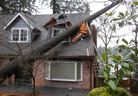 Roof Damage From Storm