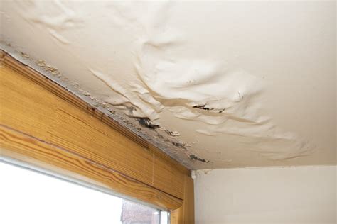 Roof leak water damage ceiling