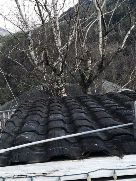 elyricsy.biz:roof made with old tires