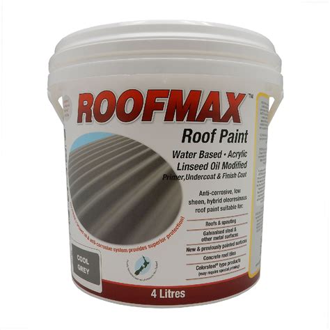 roof max paint