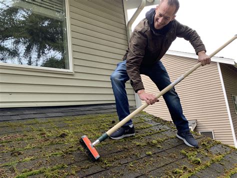 roof moss removal and gutter cleaning