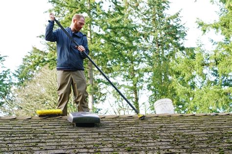 roof moss removal company near me