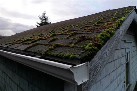 roof moss removal eugene oregon