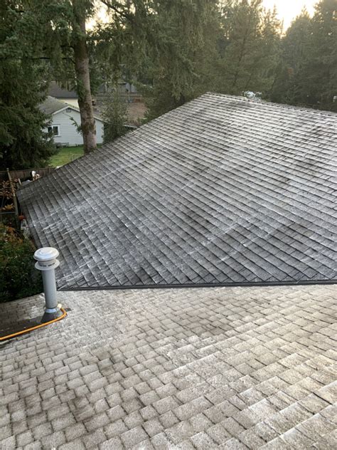 Roof Moss Removal Langley