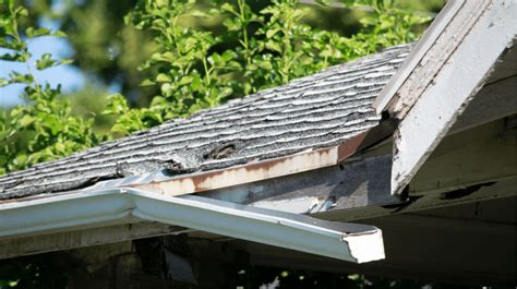 roof repair humble texas