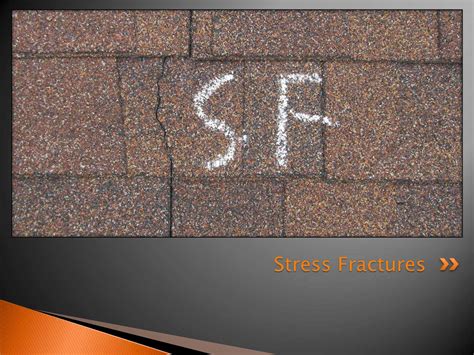 home.furnitureanddecorny.com:roof shingles stress fractures