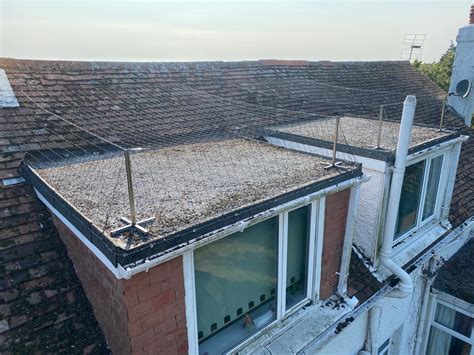 roofing bird proofing