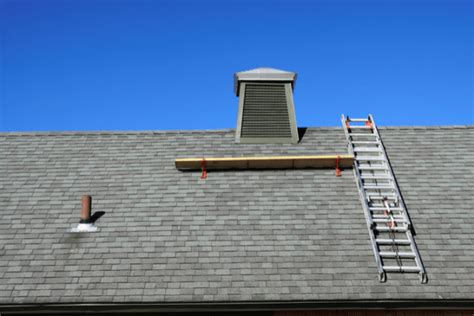 Roofing Ladder