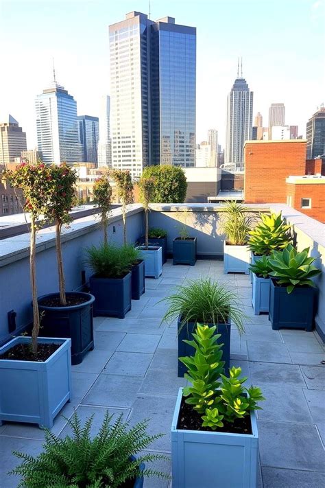 Rooftop Garden Budget