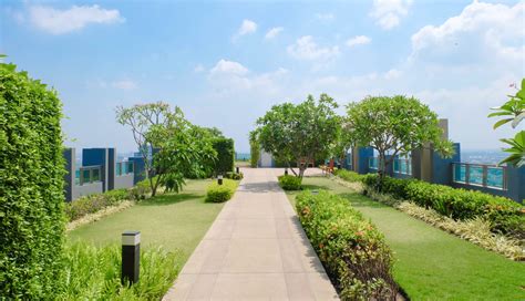 Rooftop Garden Trees