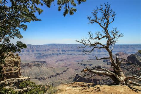 How to Explore the North Rim Grand Canyon in 1 Day Travel The Parks