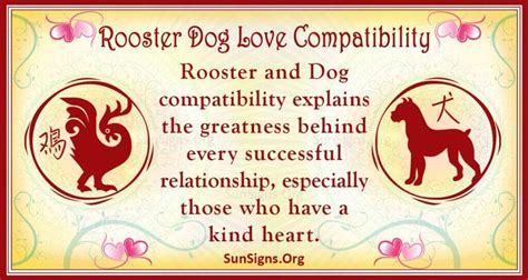 rooster and dog compatibility