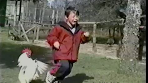 rooster chasing kids videos