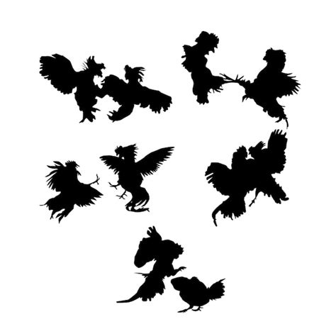 rooster fighting silhouette image