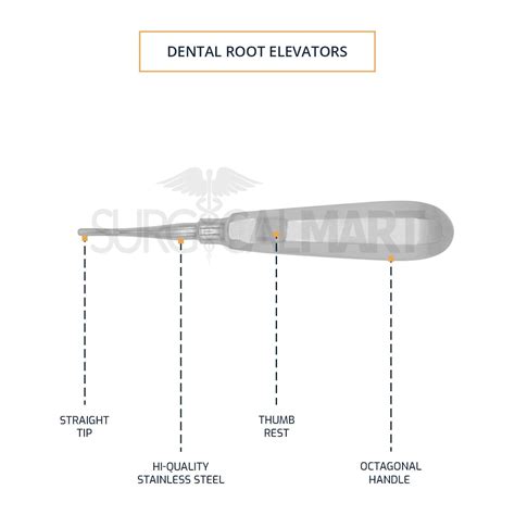 Root Elevator Tooth Extraction