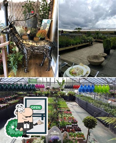 root one garden centre & cafe