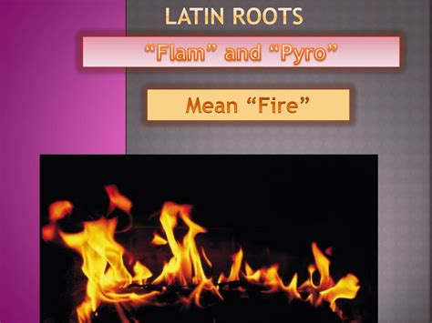 root pyro