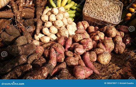 Root Vegetables In Philippines