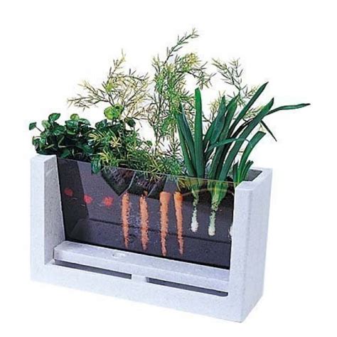 RootVue Farm Kit, Refill, Pack of 8 HSP163 Hsp Nature Toys Plant