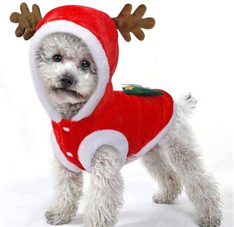 Las 19 Mejores Ropas Para Perros Navidades 2021