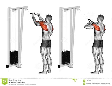 Rope Cable High Pull
