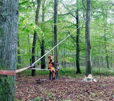 Rope Puller Tree Felling
