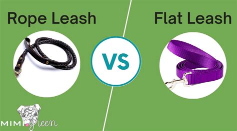 Rope Vs Flat Leash