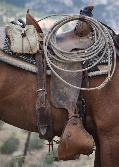 ropes and saddles