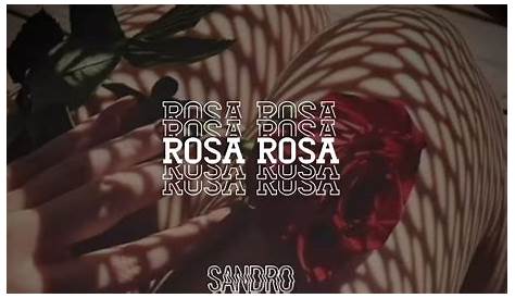 ROSA ROSA/Sandro (Letra) - YouTube
