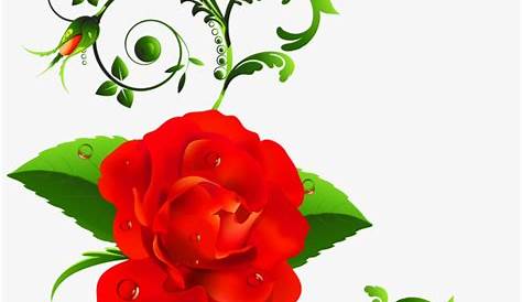Rose Vector Png | Free download on ClipArtMag