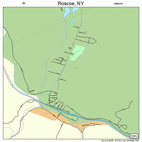 Roscoe Ny Map