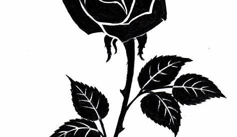 Rose Dessin Noir Et Blanc Simple Concept De Fleur . Main Ligne Continue De