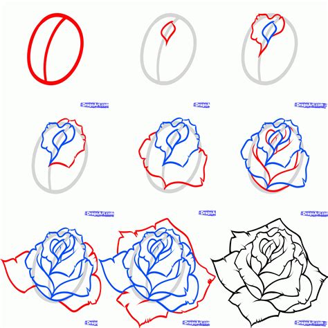 Drawing Tutorial. How To Draw A Rose Stock Vector