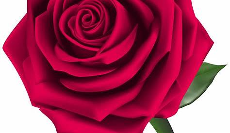 Roses red rose with bud transparent clip art picture - Clipartix