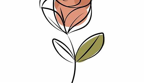 Rose Line Vector, Rose Art, Pink Rose, Rose PNG and Vector with
