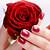 rose nails portage wi