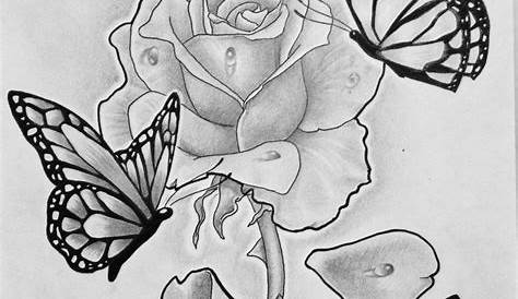 Rose Pencil Drawings Of Flowers And Butterflies Graphic Drawing s Bird Butterfly 1 Stock Illustration
