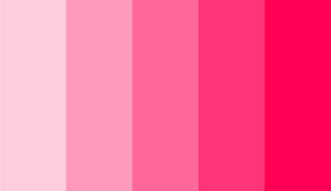 Lovely Rose Pink Color Palette