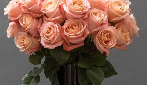 Bouquet de roses de couleur rose poudré Livraison de